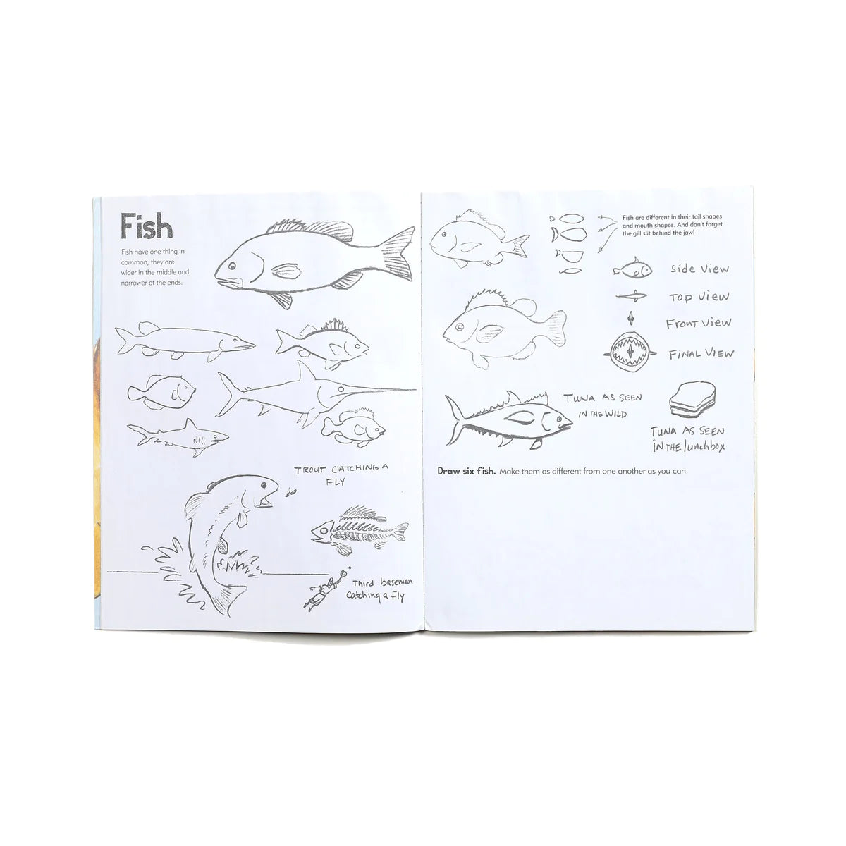 Art for Kids: Drawing: The Only Drawing Book You'll Ever by