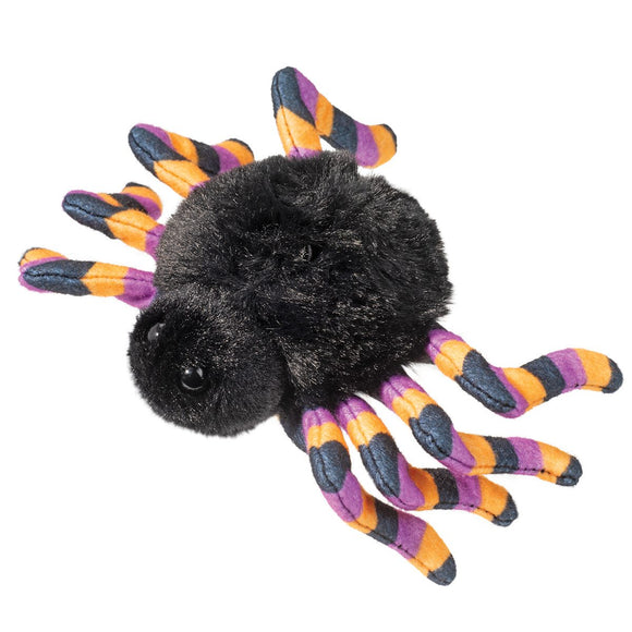 Douglas Spider with Striped Legs 6