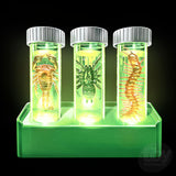 KidzLabs™ Glow Critter Lab