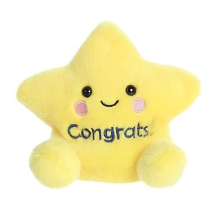 Aurora® Palm Pals™ Galileo Congrats Star 5"