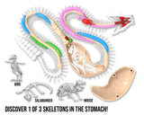 Tangle® Dissect-It® - Rattlesnake Super Lab