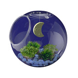 Thames & Kosmos Wow in the World: Light-Up Terrarium