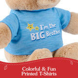 GUND "I'm the Big Brother Bear" Blue 12"