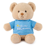 GUND "I'm the Big Brother Bear" Blue 12"