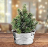 Silver Circle Products Inc.: Perfect Pine