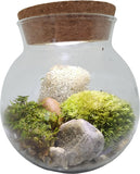 Silver Circle Products Inc.: Moss Bowl