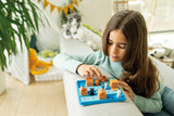 Smart Games & Toys Cats & Boxes