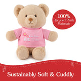 GUND "I'm the Big Sister Bear" Pink 12"