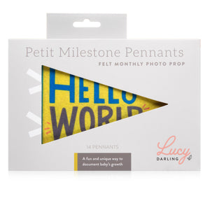 Lucy Darling Petit Milestone Pennant: Little Kaleidoscope