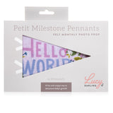 Lucy Darling Petit Milestone Pennant: Little Artist