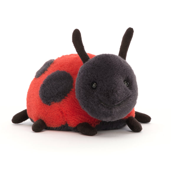 eeBoo Ladybug Red Pipe Cleaners Craft Kit
