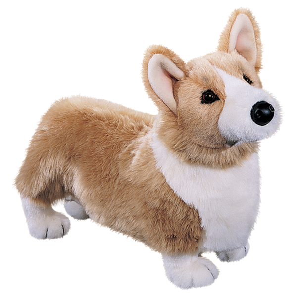 Douglas Chadwick Corgi Large 16